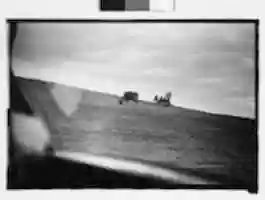 Free download [People and Grazing Cattle on Levee, From Moving Automobile, New Orleans Vicinity, Louisiana] free photo or picture to be edited with GIMP online image editor